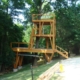 timber frame tree house