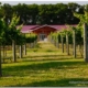 Willow Creek Farm Timber Frames